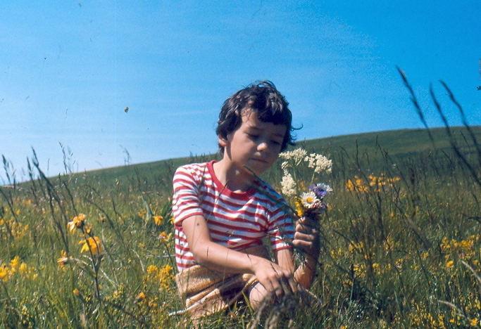 g - sette anni.jpg
